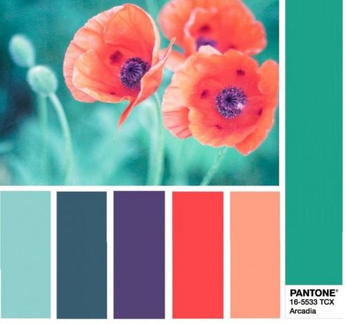 Топ 10 цветов Pantone весна-лето Тренды, образцы и прогнозы — ООО «ПРОТОС и К»